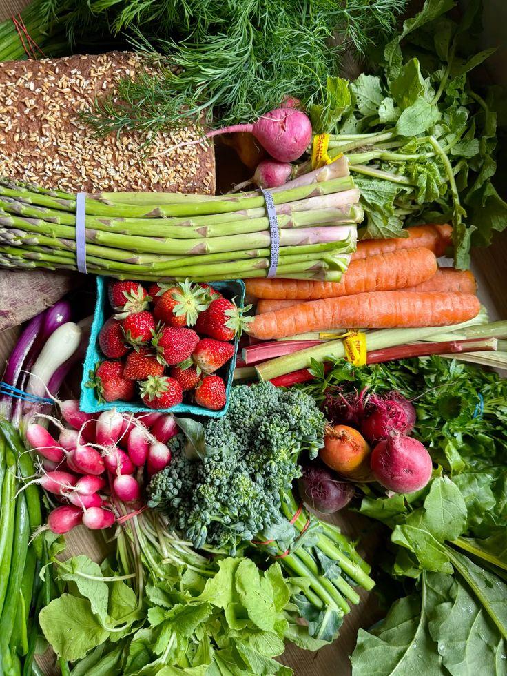 Field's Color Spectrum: Vibrant Veggie Assortment