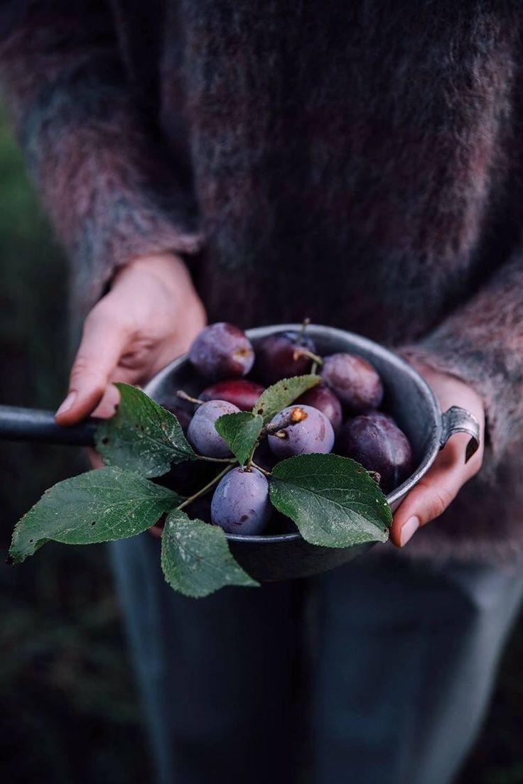 Garden's Bounty Basket: Purely Earth's Offerings